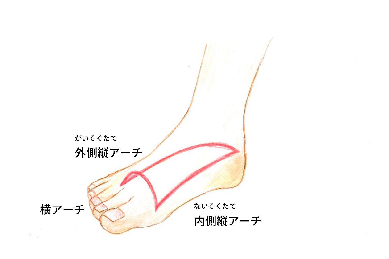 足 の 裏 外側 痛い