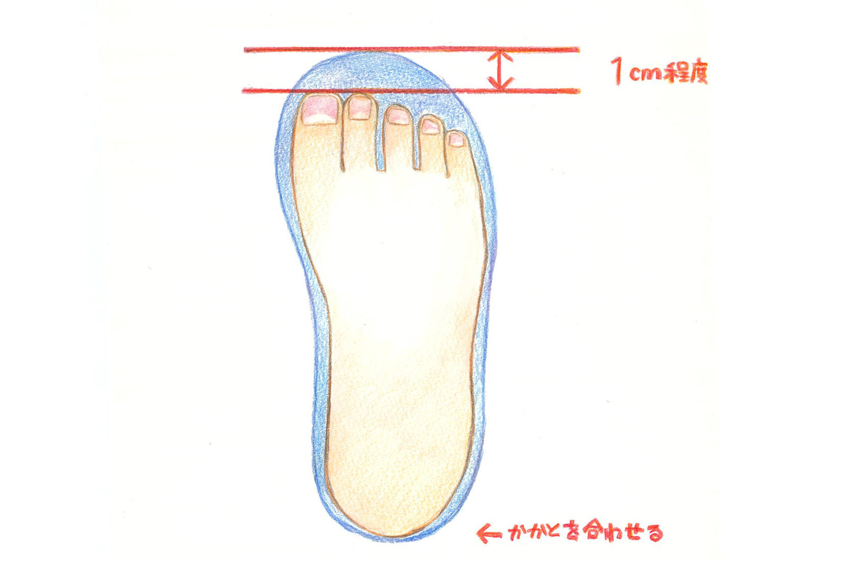 子どもの足がアブナイ 未来の足は大人が守る 子どもの靴の選び方編 コラム 足のちえぶくろ ケアソク Care Soku 株式会社山忠