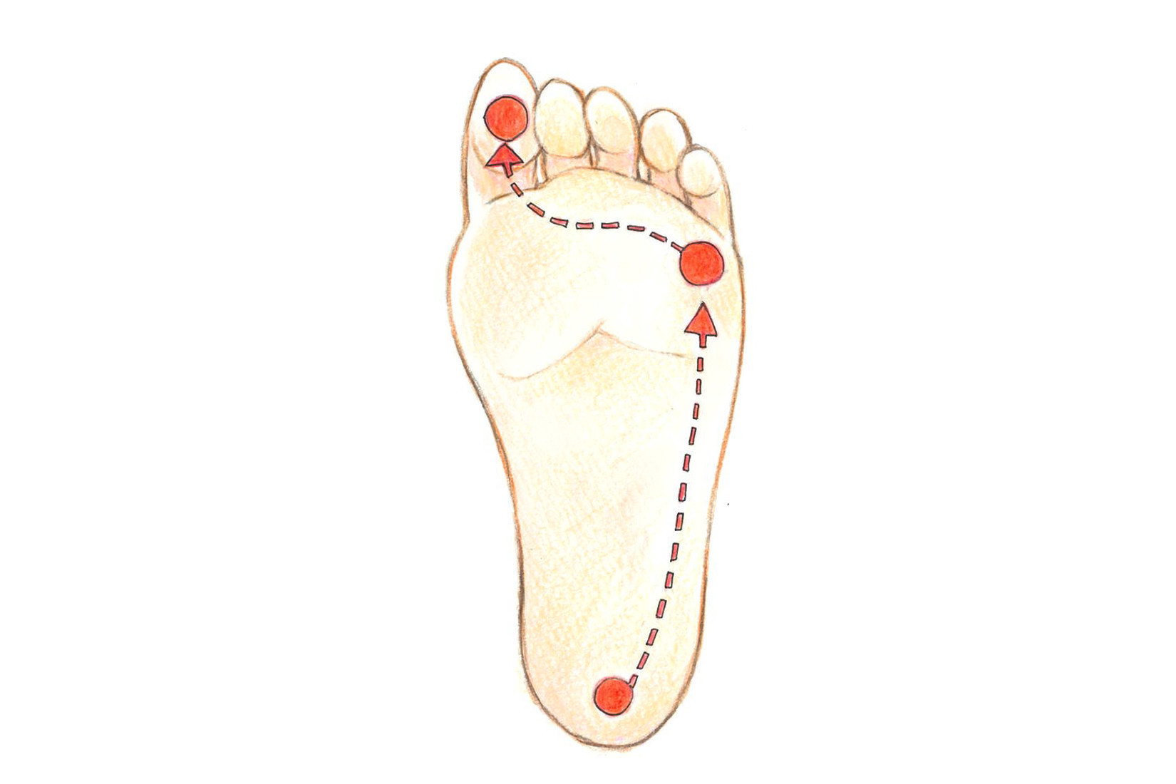 靴下の穴で体の不調が分かる 健康に過ごすためのヒント コラム 足のちえぶくろ ケアソク Care Soku 株式会社山忠