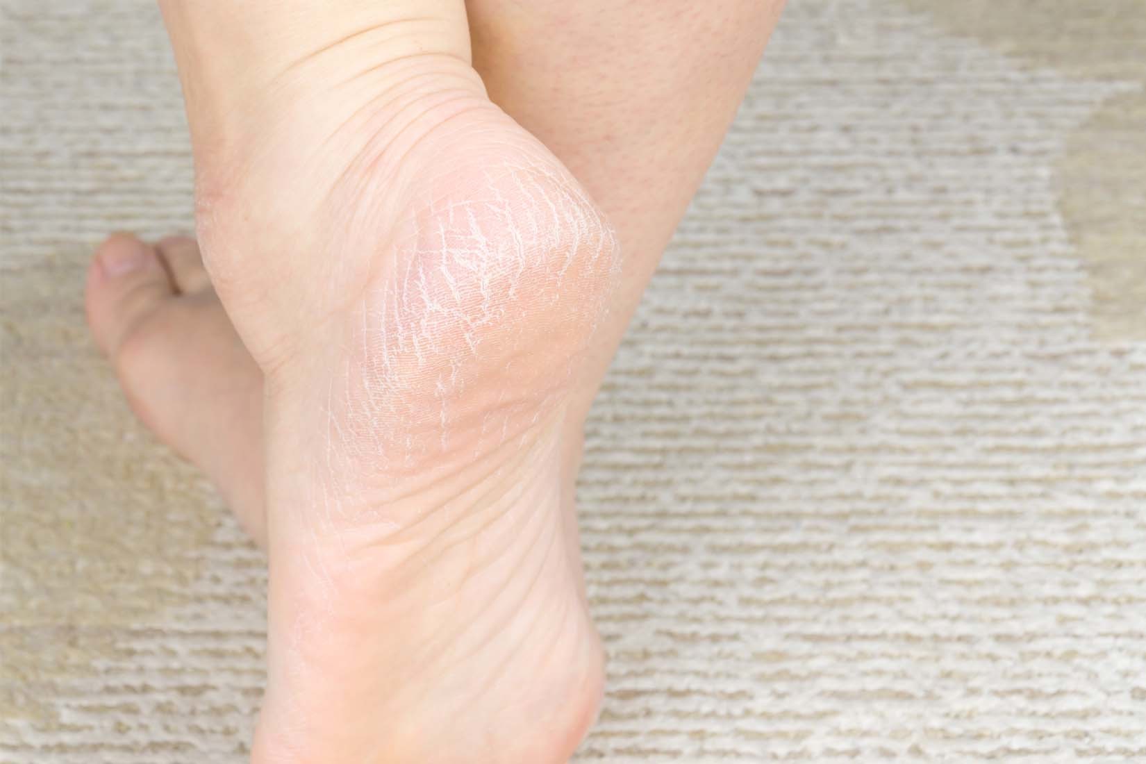 見通しはどうですか?