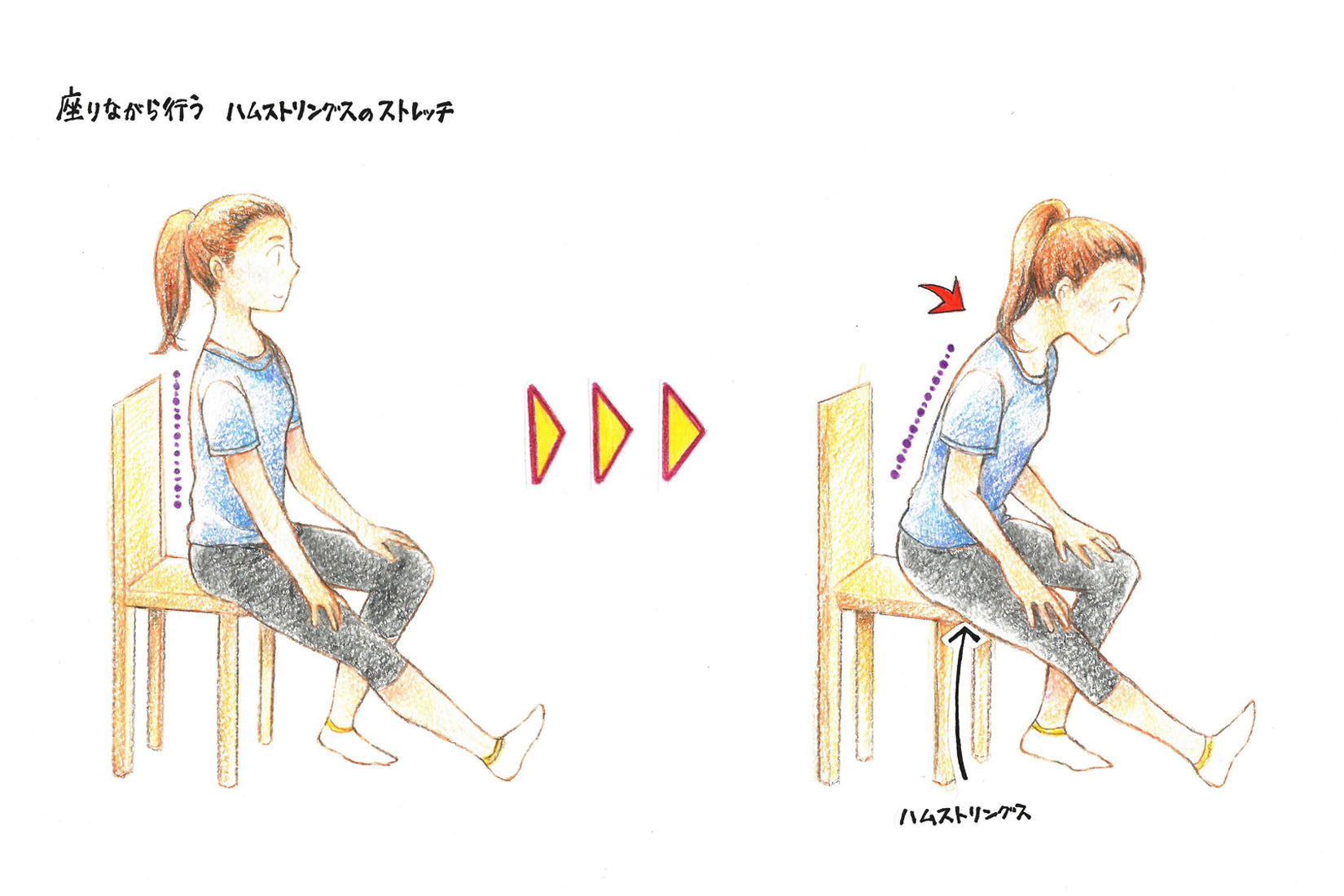 座りながら行うハムストリングスのストレッチ