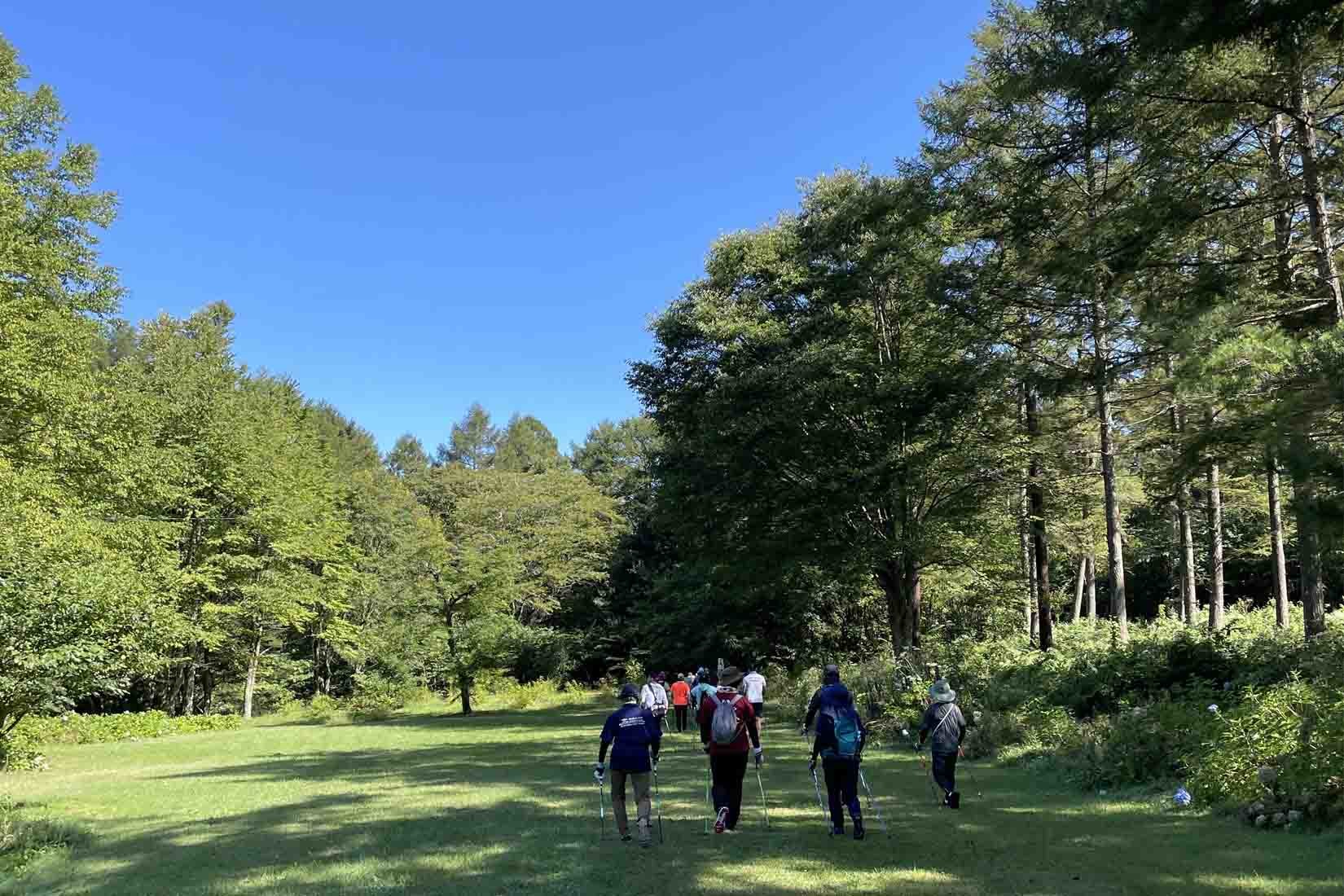 大自然のなかでウォーキング