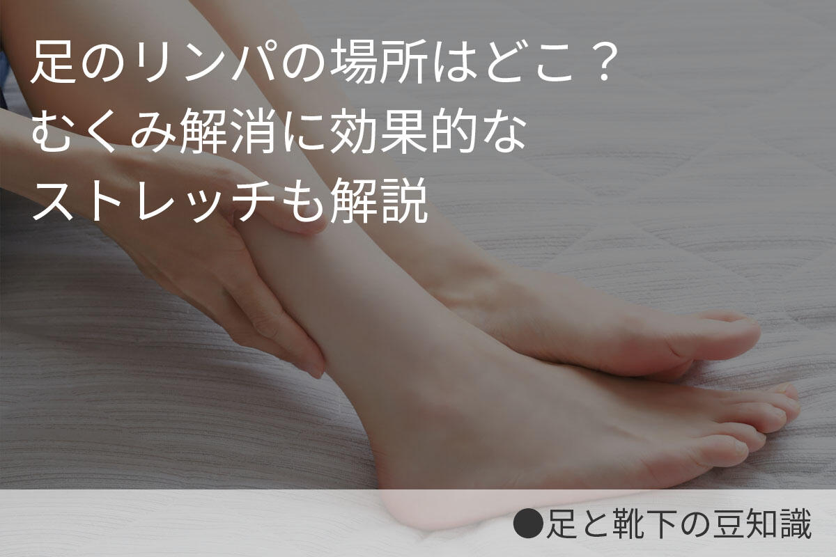 足のリンパの場所はどこ？むくみ解消に効果的なストレッチも解説