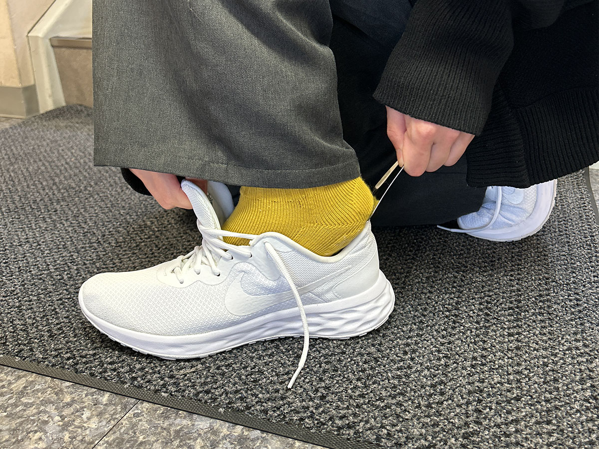 ���٥��ȤäƷ���������������