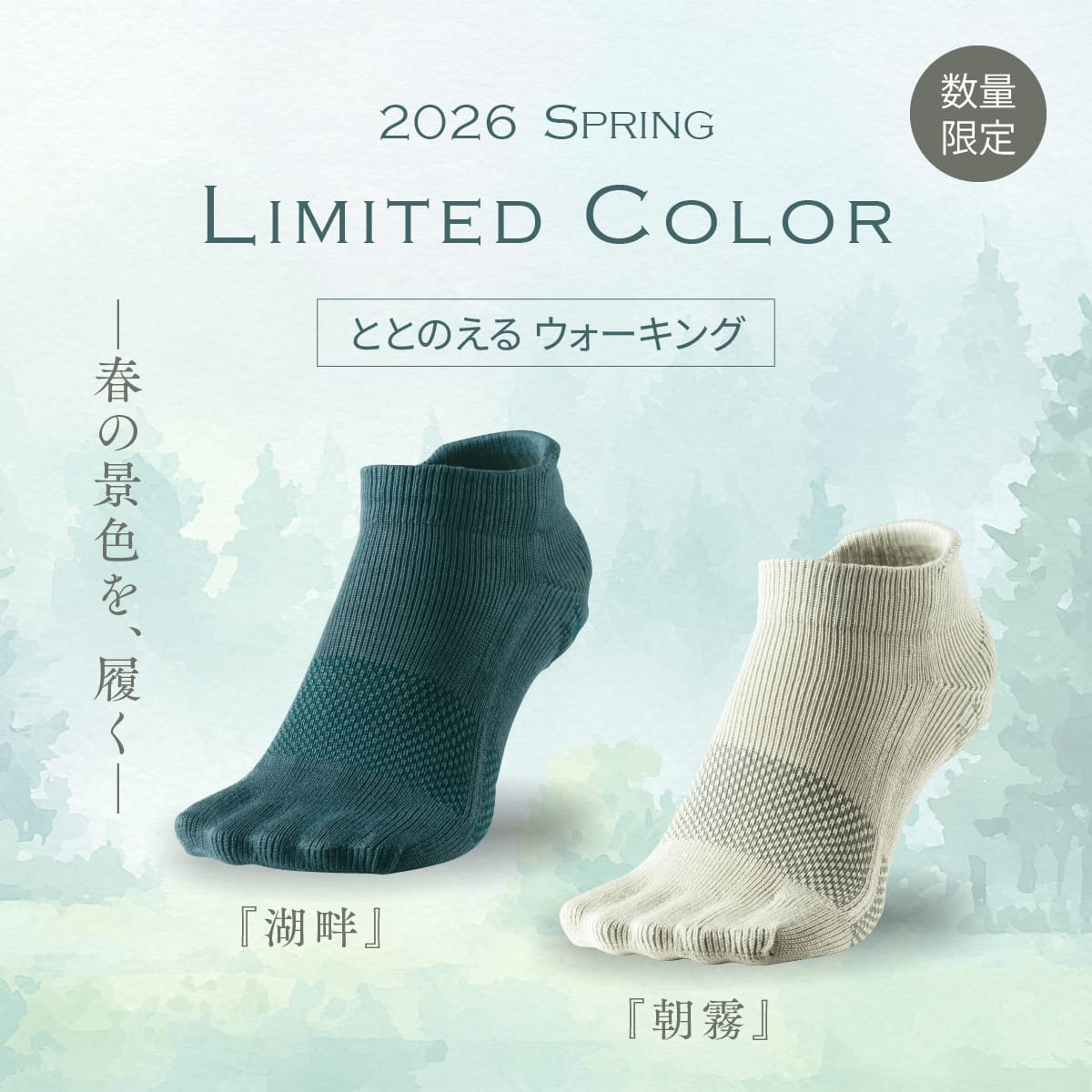 ととのえるウォーキング2026年春限定カラー発売